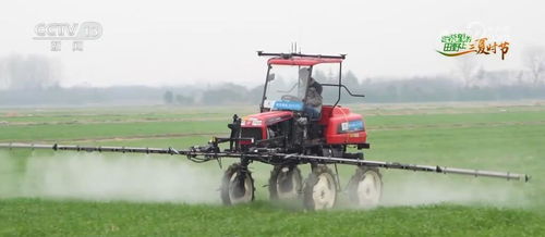 算力織網，智繪“三農”新藍圖 科技賦能農產品生產向優、向綠、向新