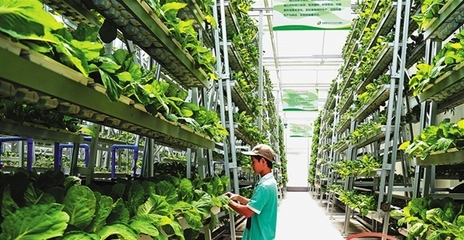 熱帶特色高效品牌互聯互通 海南“農”字號借冬交會翩翩起舞