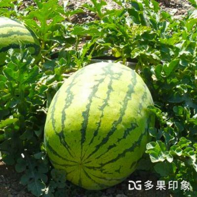 鹽城館 水產養殖優質特色農產品品牌之路